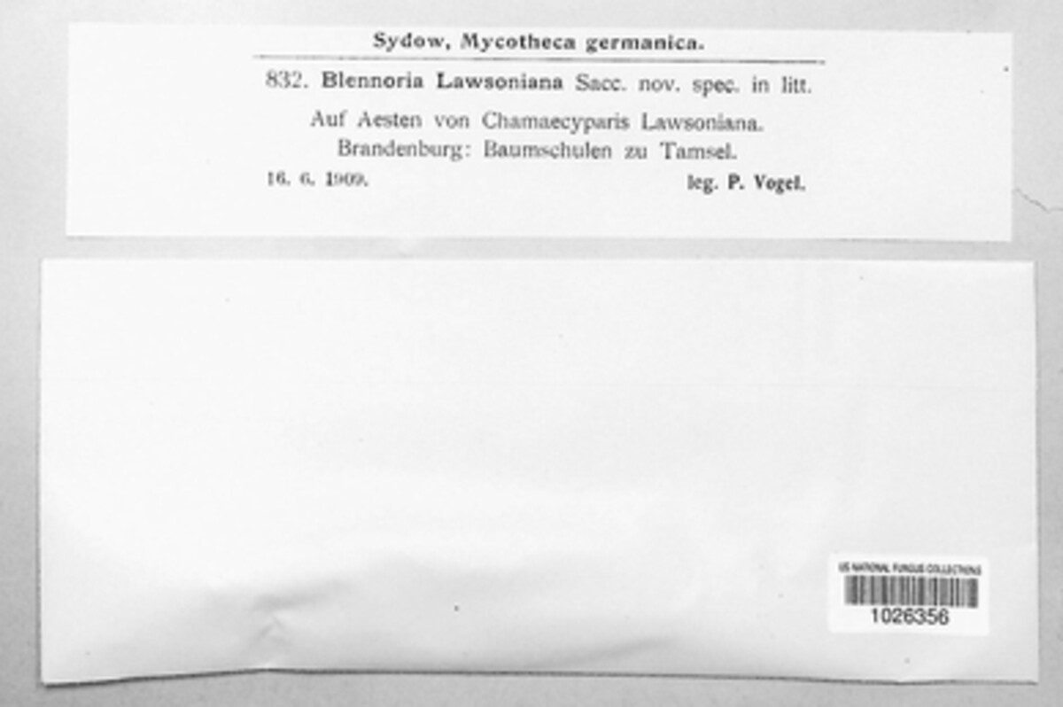 Blennoria image